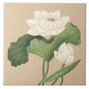 Lotus Flower of East India Botanical Art Tile