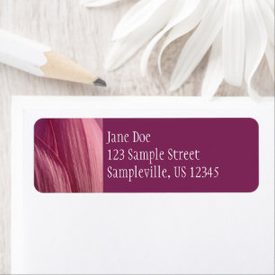 Lotus Flower Petals Pink Floral