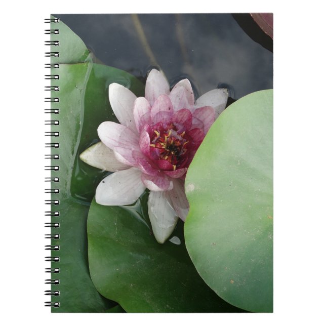 Lotus Flower Photo Notebook (Front)