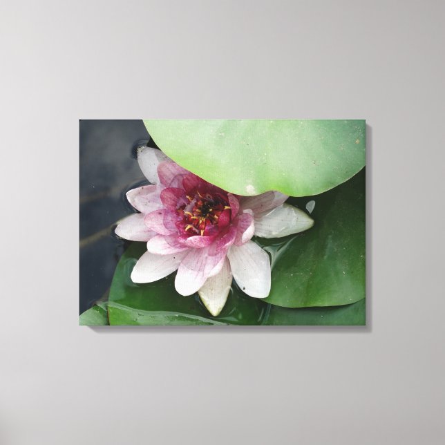 Lotus Flower Photography Canvas Print (Front)