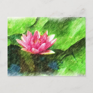 Lotus Flower Postcard