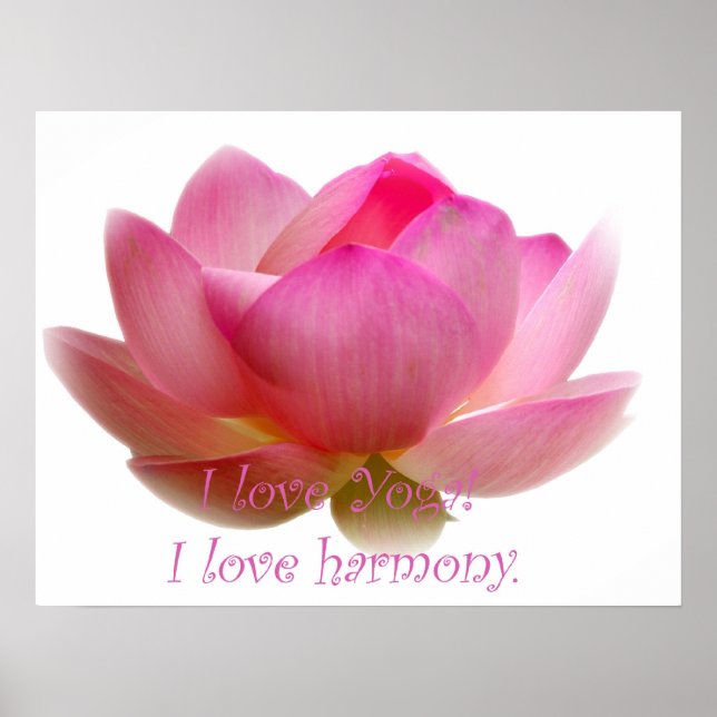 Lotus Flower Poster (Front)