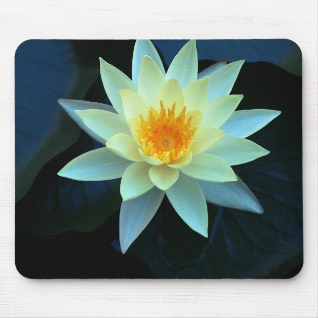 Lotus Flower Power Mouse Mat (Front)