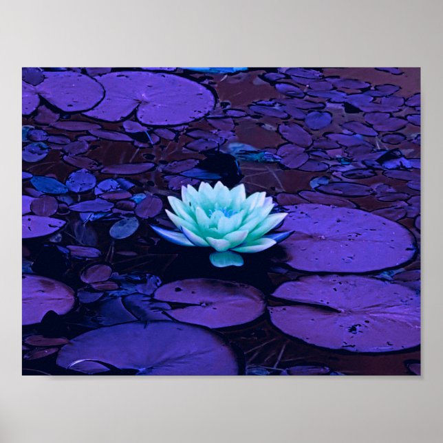 Lotus Flower Purple Blue Turquoise Floral Pond Zen Poster (Front)
