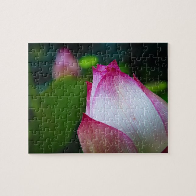 Lotus flower - Puzzles (Horizontal)