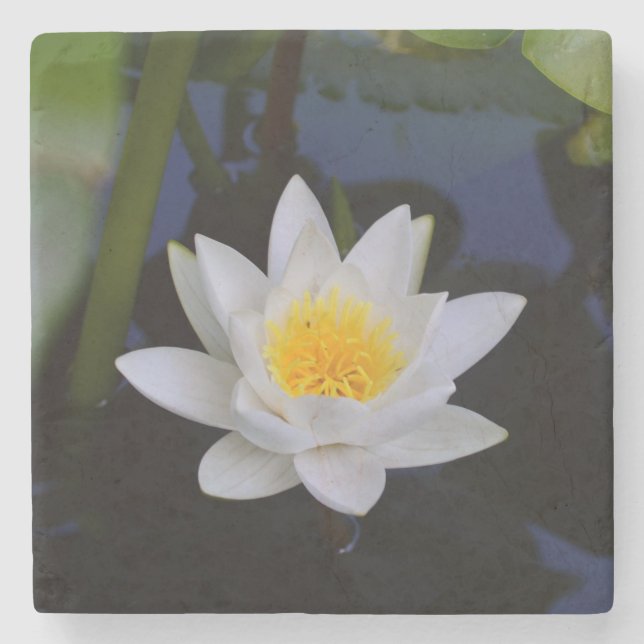 Lotus Flower Stone Coaster (Front)