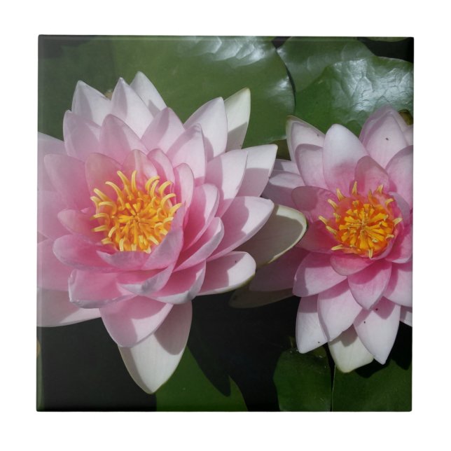 Lotus Flower Tile (Front)