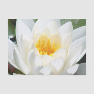 Lotus Flower Tissue Paper