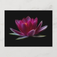 Lotus Flower Water Plant