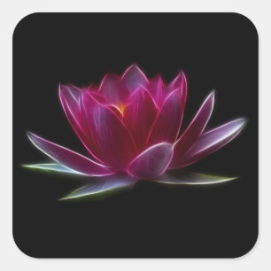 Lotus Flower Water Plant Square Sticker
