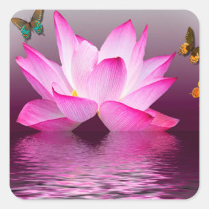 Lotus Flower with Butterfly Insect Square Sticker