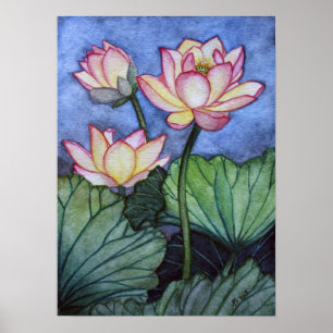 Lotus Flowers #5 Poster Print