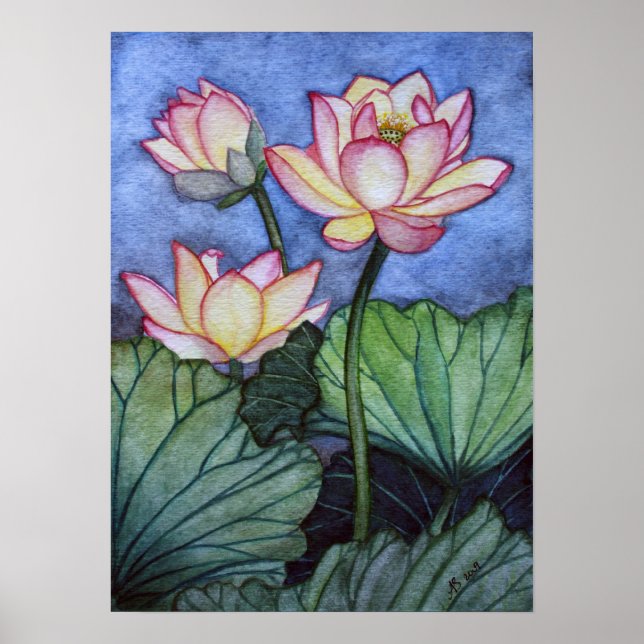 Lotus Flowers #5 Poster Print (Front)