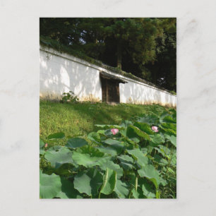 Lotus flowers in the Temple Moat Postcard