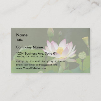 Lotus Flowers Ponds Business Card
