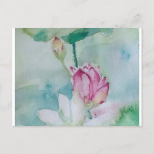 lotus holiday postcard