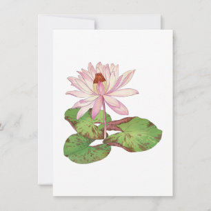 Lotus illustration, vintage Japanese ukiyo e art  Card