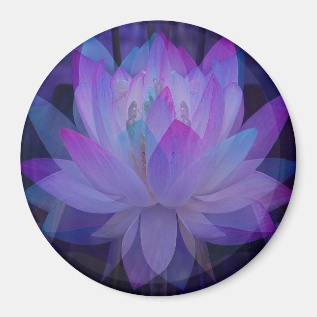 Lotus in Blue... Magnet (Front)