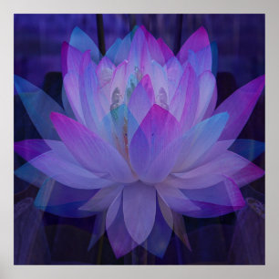 Lotus in Blue... Poster