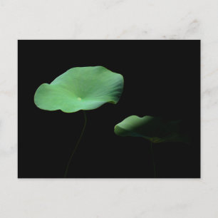 Lotus Leaves Announcement Postcard