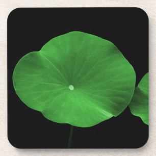 Lotus Leaves Coaster