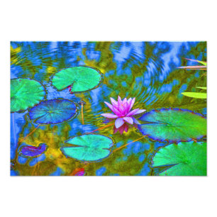 Lotus Lily Pad Water Lily in an Italian Garden Photo Print