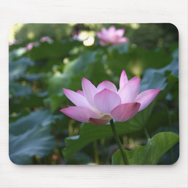 Lotus Mouse Mat (Front)