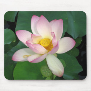 Lotus Mouse Mat
