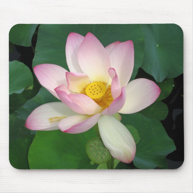 Lotus Mouse Mat (Front)