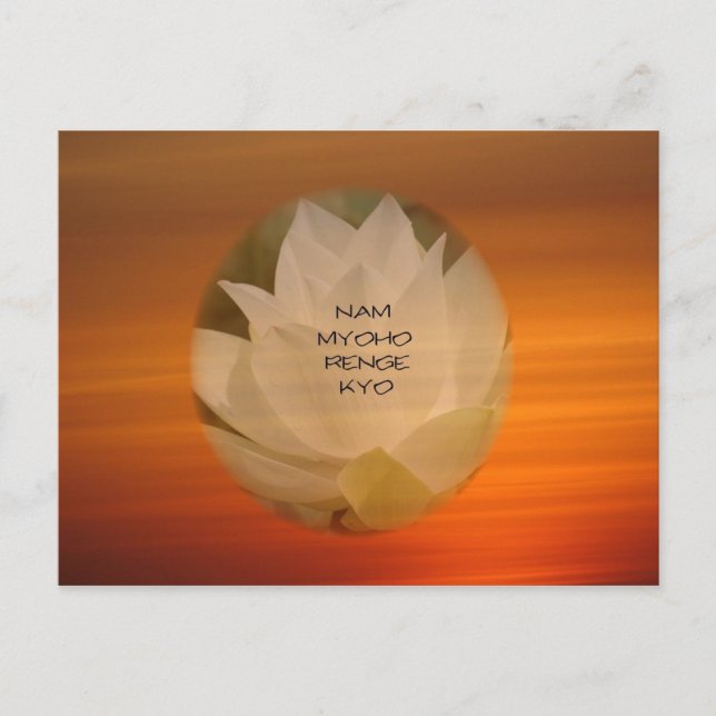 Lotus "Nam Myoho Renge Kyo" SGI Buddhist Postcard (Front)