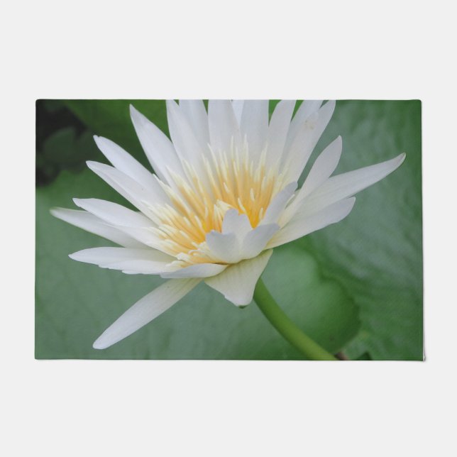 Lotus, Namaste, meditation, zen, shops, plant, nat Doormat (Front)