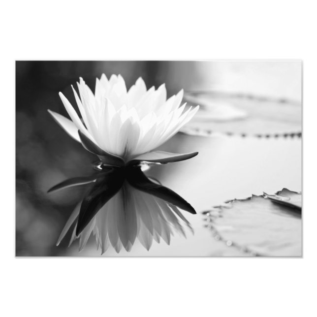 Lotus Photo Print (Front)
