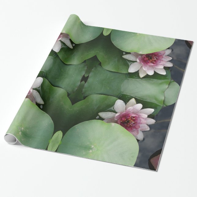 Lotus Photography  Wrapping Paper (Unrolled)