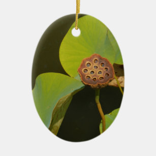 Lotus Pod and Lilly Pad Ceramic Tree Decoration