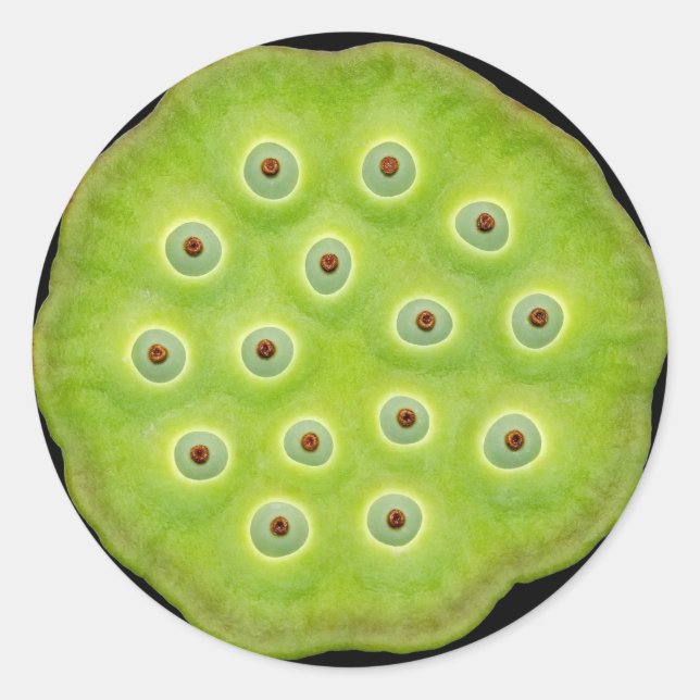 Lotus Pod Stickers (Front)