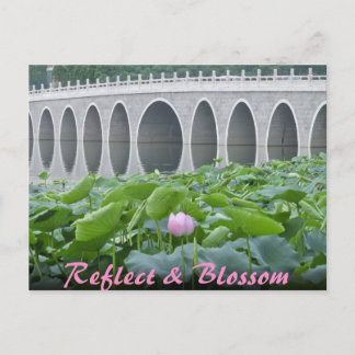 Lotus Pond Reflecting Bridge Arches Postcard
