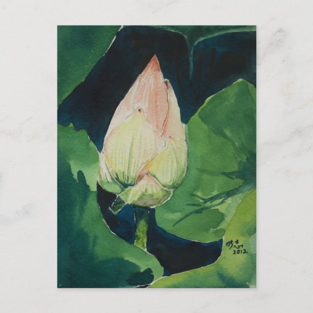 Lotus Postcard (Front)