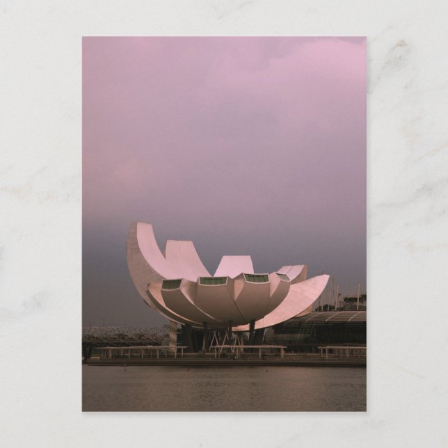 Lotus Postcard (Front)