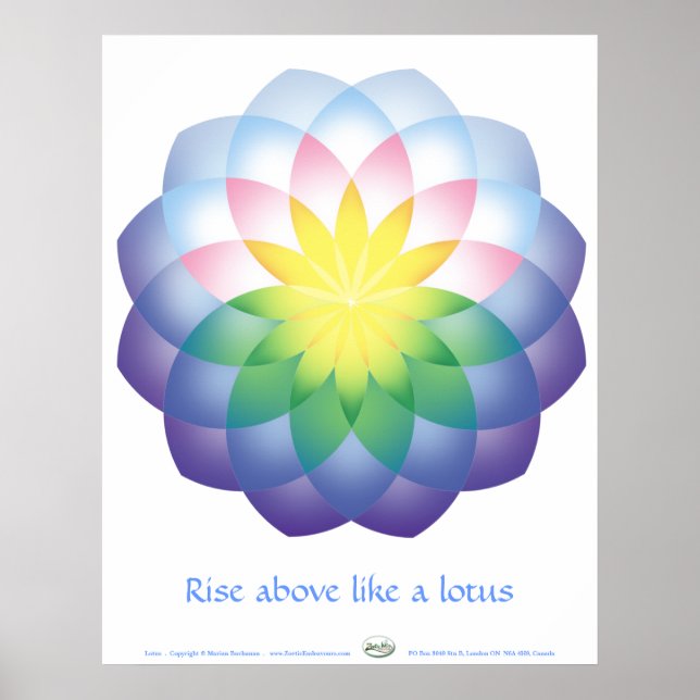 Lotus Poster (Front)