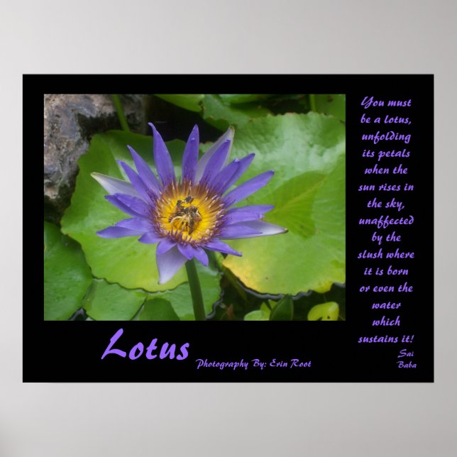 Lotus Poster with quotes from Sai Baba (Front)
