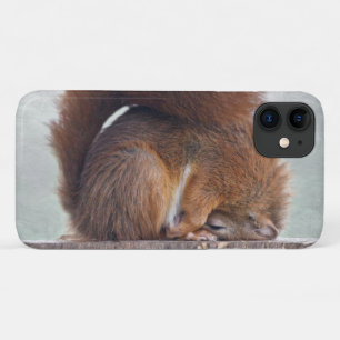 Lotus Squirrel iPhone 11 Case