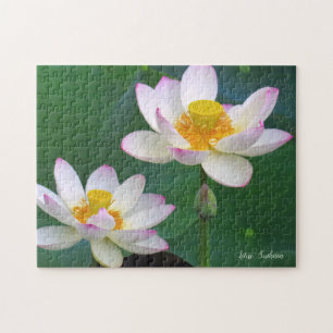 Lotus "Suihiren" [Jigsaw puzzle: 252P] ジグソーパズル Jigsaw Puzzle