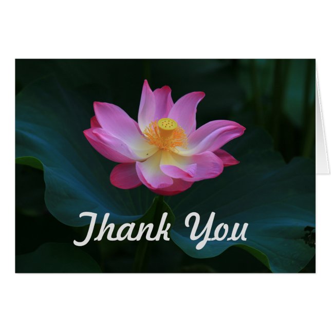 Lotus Thank You Card, Horizontal (Front Horizontal)