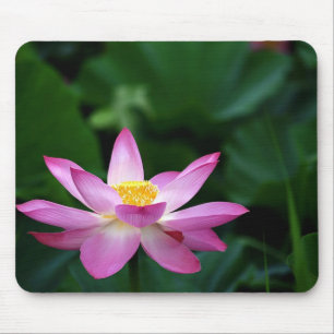 Lotus Tranquillity Mouse Mat