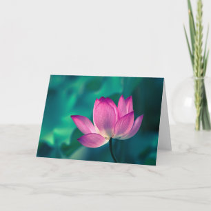 Lotus Water Lily Flower Card
