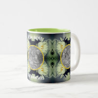 Lotus Water Lily Flower Create Your Own Photo