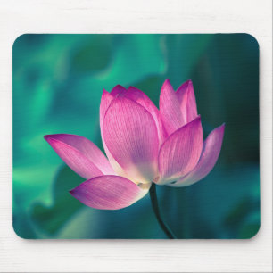 Lotus Water Lily Flower Mouse Mat