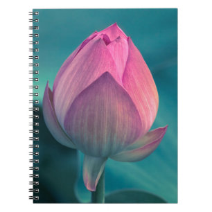 Lotus Water Lily Flower Notebook