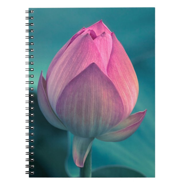 Lotus Water Lily Flower Notebook (Front)