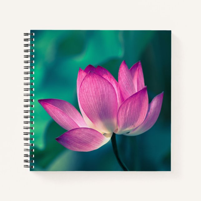 Lotus Water Lily Flower Notebook (Front)